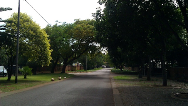 Spectacular trees in the neighborhood